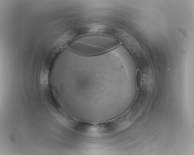 X0000115510504200911271433