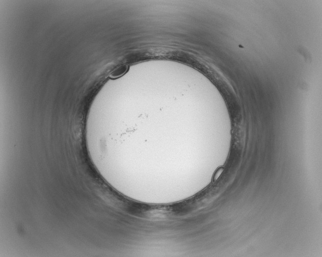 X0000115510505200911271433