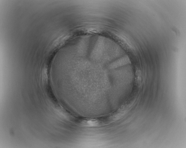 X0000115510506200911271433