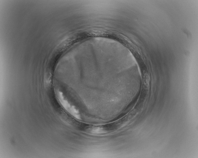 X0000115510507200911271433