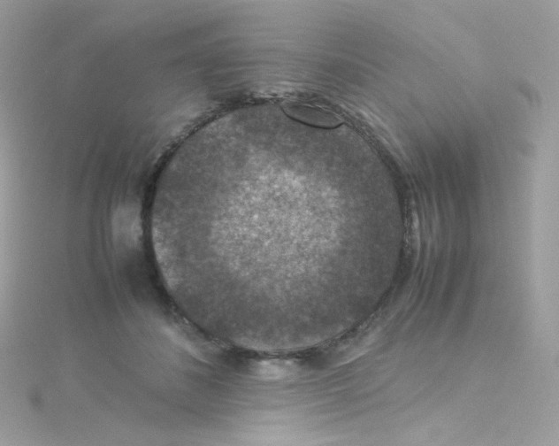 X0000115510508200911271433