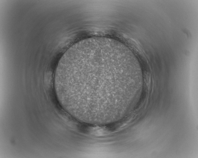 X0000115510511200911271433