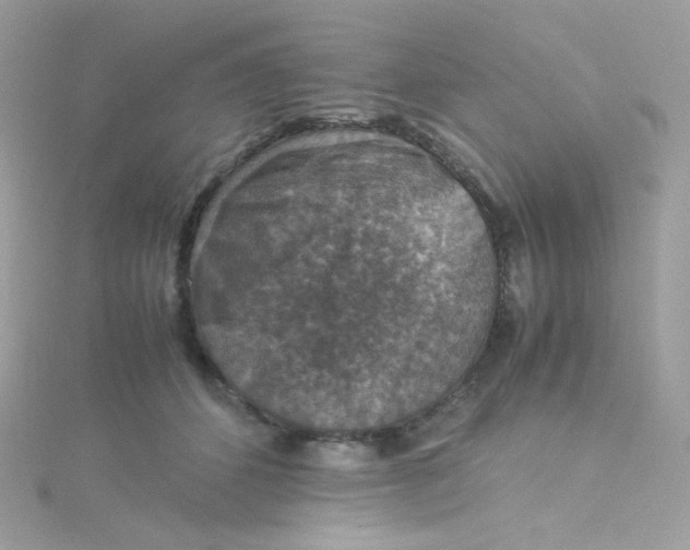 X0000115510512200911271433