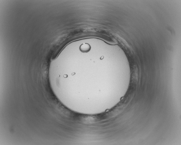 X0000115510513200911271433