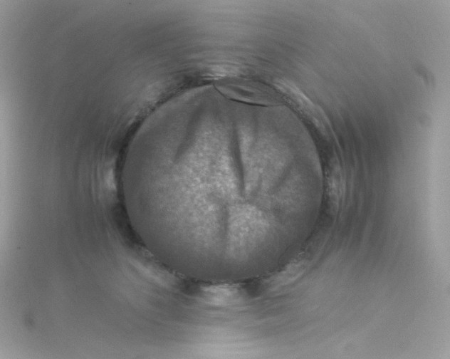 X0000115510516200911271433