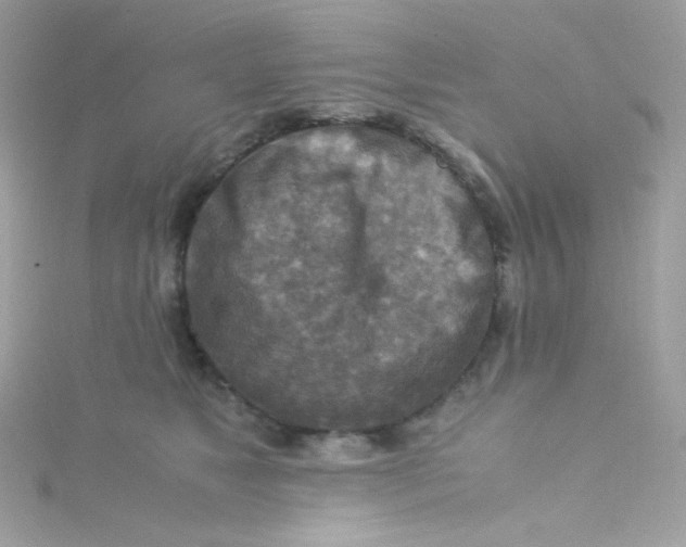 X0000115510517200911271433