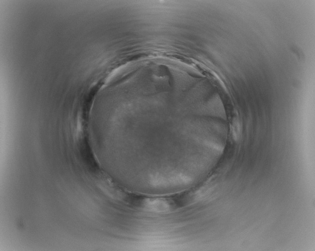 X0000115510520200911271433