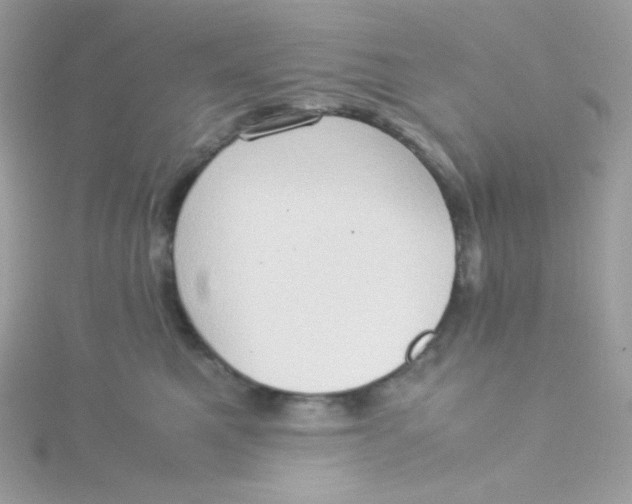 X0000115510521200911271433