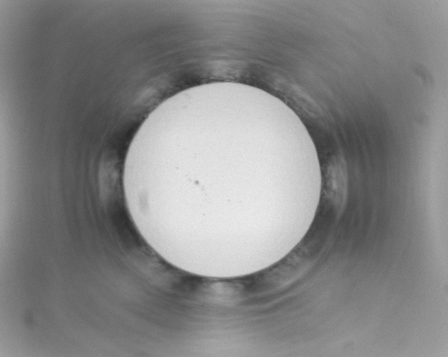 X0000115510522200911271433