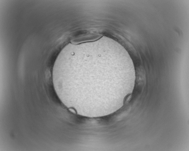 X0000115510523200911271433