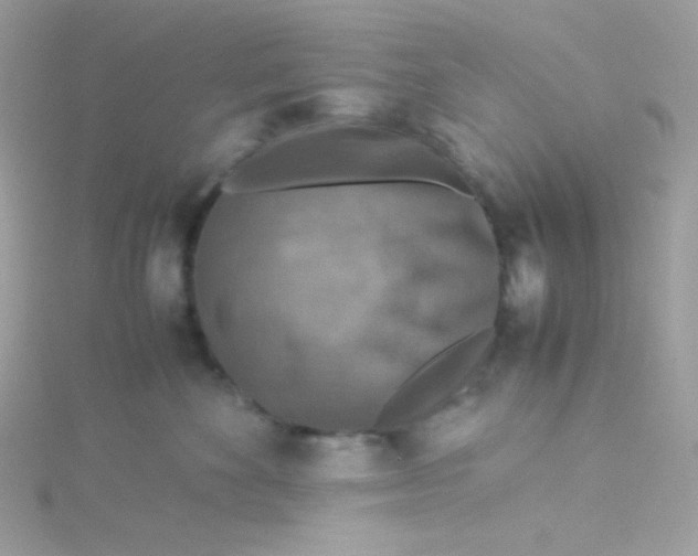 X0000115510524200911271433