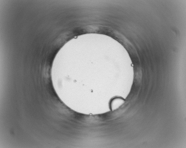 X0000115510525200911271433