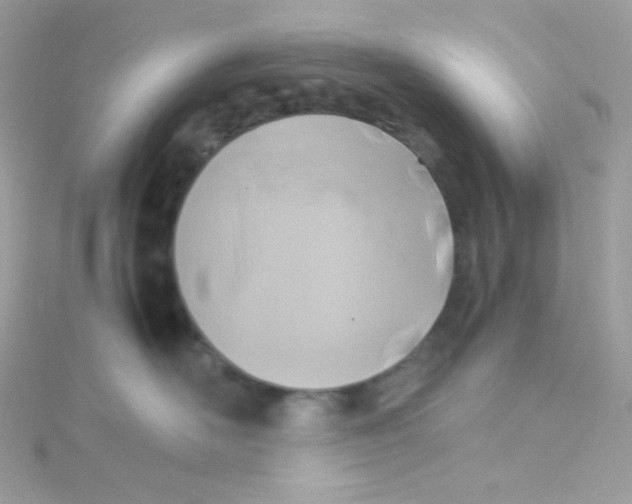 X0000115510526200911271433