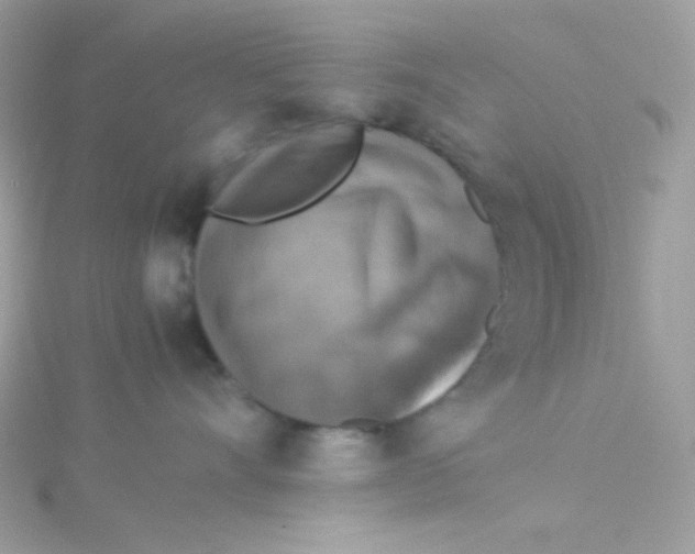 X0000115510528200911271433