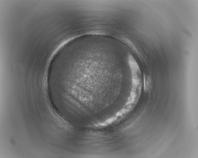 X0000115510531200911271433