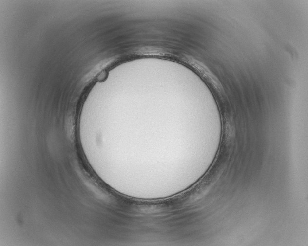 X0000115510533200911271433