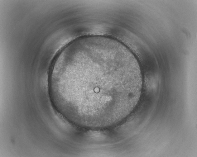 X0000115510534200911271433