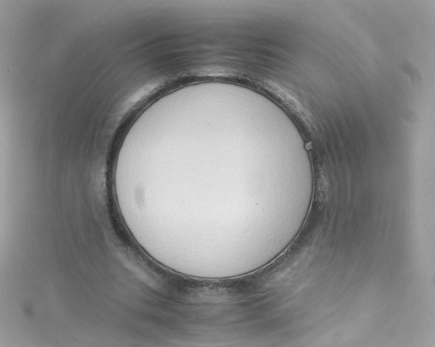 X0000115510535200911271433