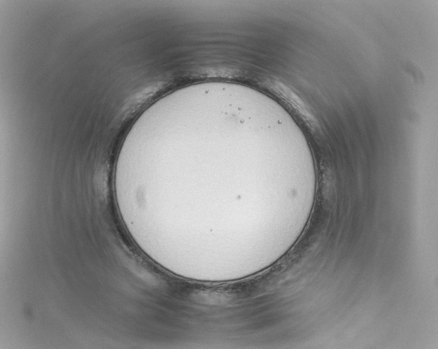 X0000115510537200911271433