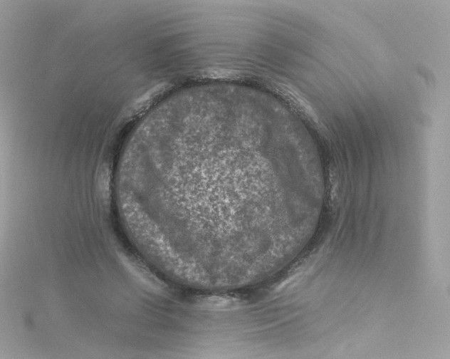 X0000115510542200911271433