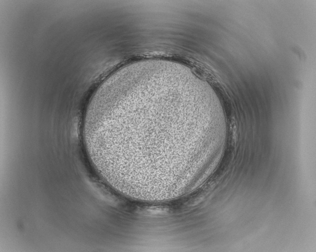 X0000115510546200911271433