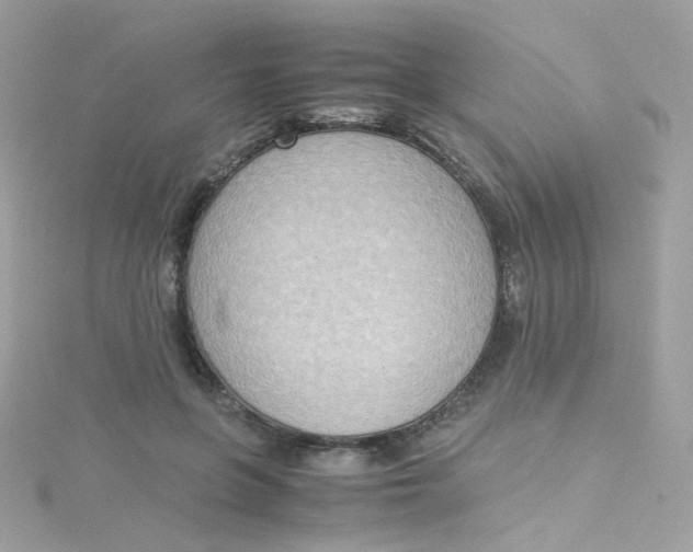 X0000115510551200911271433