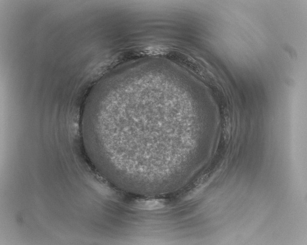 X0000115510553200911271433