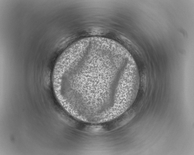 X0000115510554200911271433