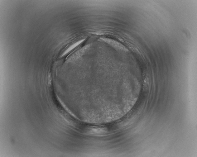 X0000115510555200911271433