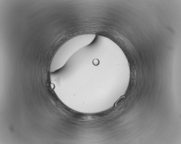 X0000115510558200911271433