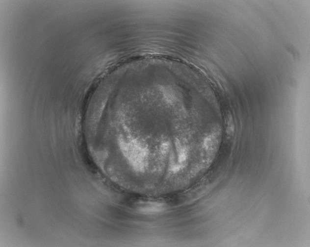 X0000115510559200911271433