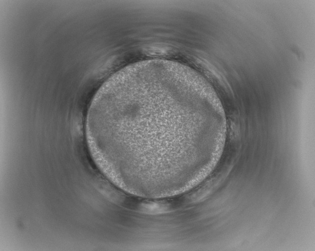 X0000115510561200911271433