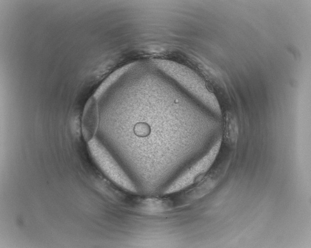 X0000115510562200911271433