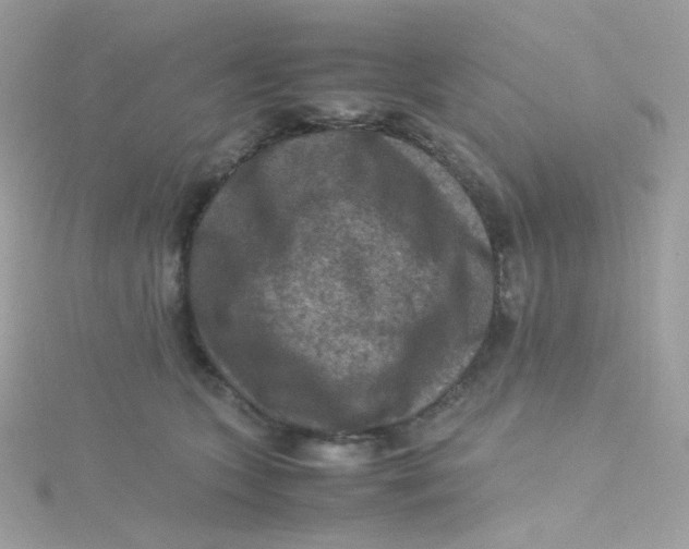 X0000115510563200911271433