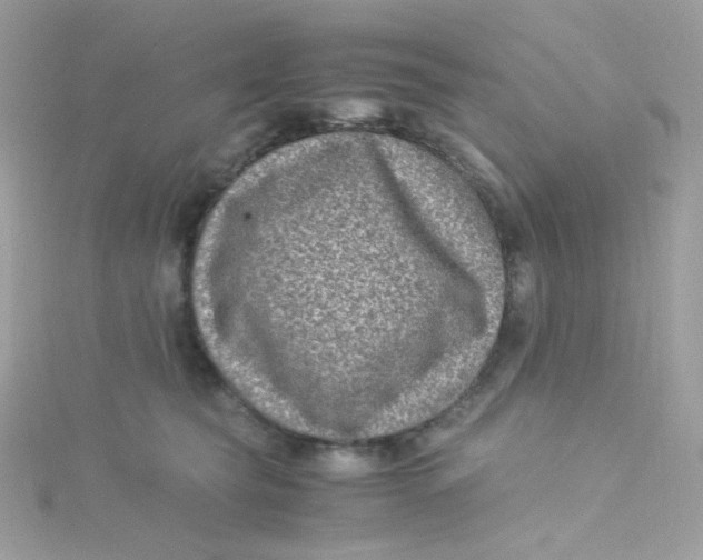 X0000115510565200911271433