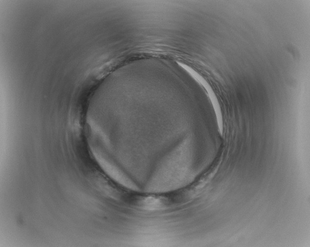 X0000115510566200911271433