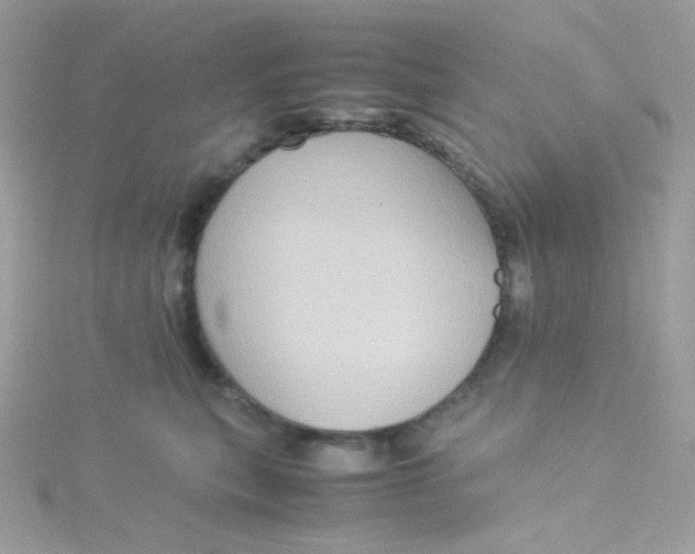 X0000115510567200911271433