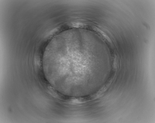 X0000115510569200911271433