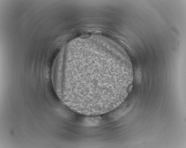 X0000115510571200911271433