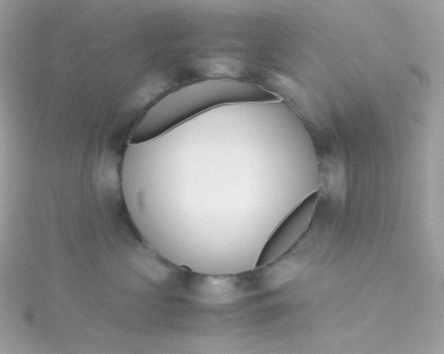 X0000115510573200911271433