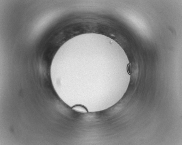 X0000115510574200911271433