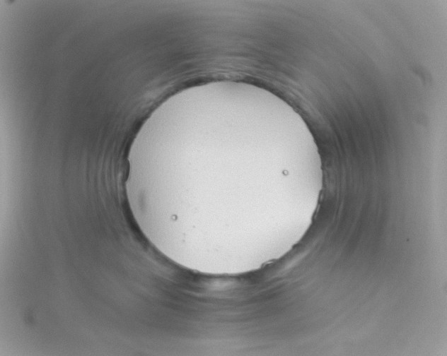 X0000115510575200911271433