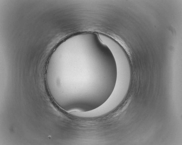 X0000115510577200911271433