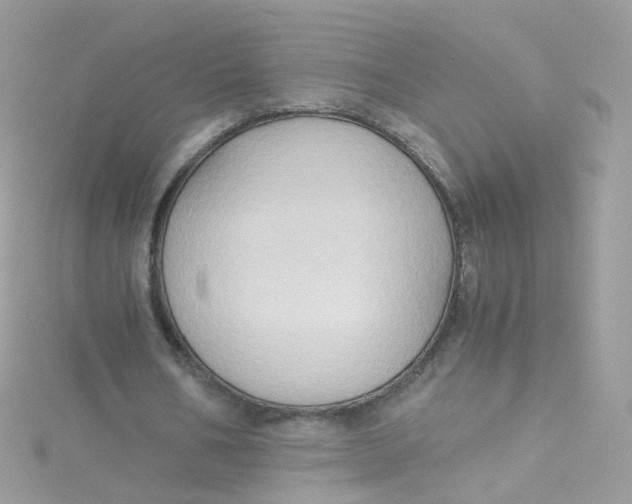 X0000115510578200911271433