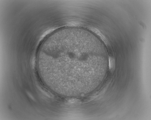 X0000115510579200911271432