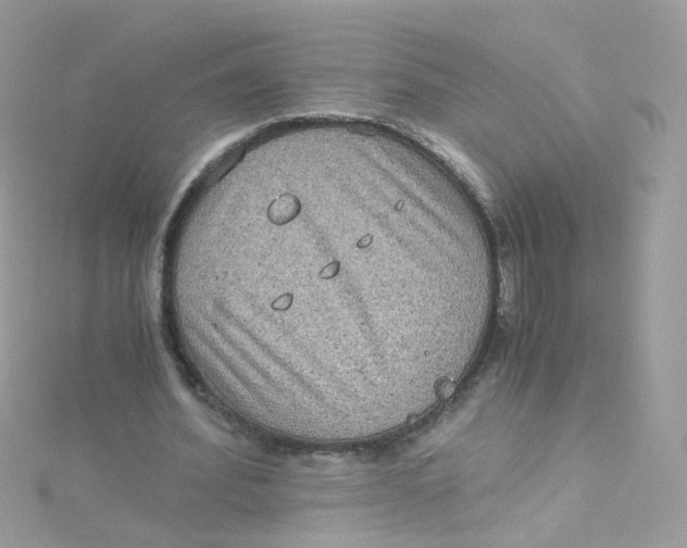 X0000115510580200911271432