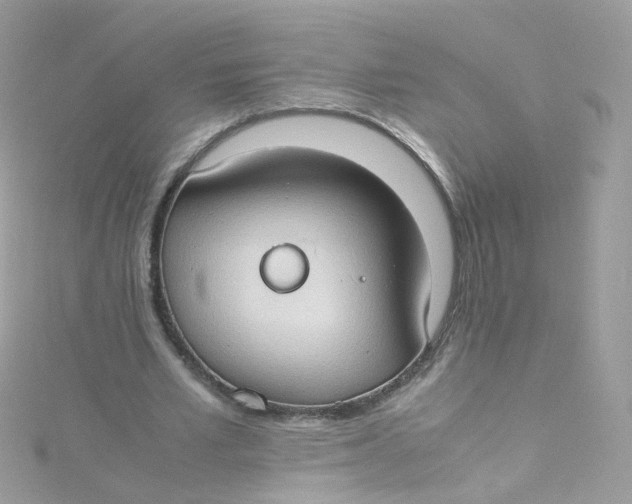 X0000115510581200911271432