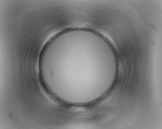 X0000115510582200911271432