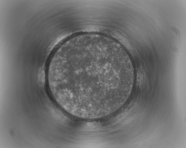 X0000115510584200911271432