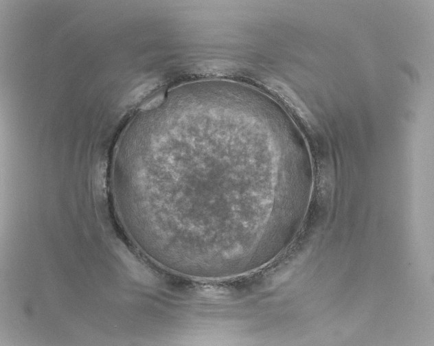 X0000115510585200911271432